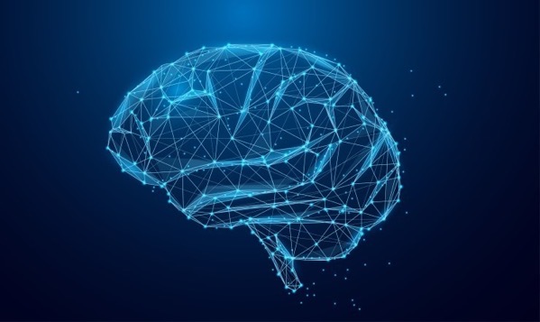 Digitial Brain 1.jpeg Digitial Brain 1.